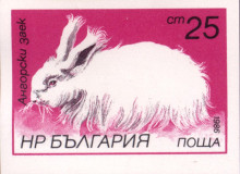 25 стотинки