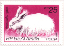 25 стотинки