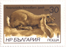 30 стотинки