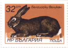 32 стотинки