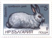5 стотинки