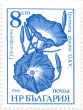 8 стотинки