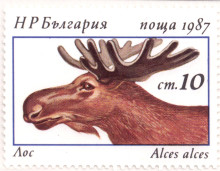 10 стотинки