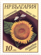 10 стотинки