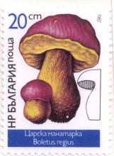 20 стотинки