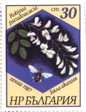 30 стотинки