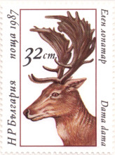 32 стотинки