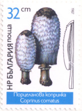 32 стотинки