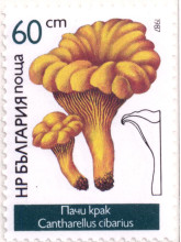 60 стотинки