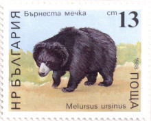 13  стотинки