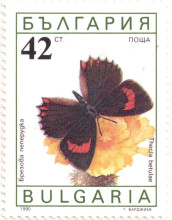 42 стотинки