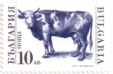 10 лева