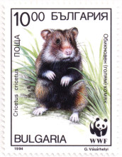 10 лева