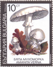 10 стотинки