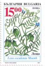 леща