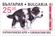 25 лева