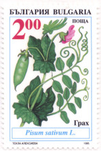 2 лева