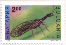 2 лева