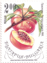 2 лева