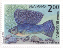 2 лева