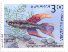 3 лева