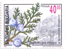 40 лева