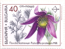40 стотинки