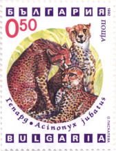 50 стотинки