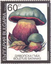 60 стотинки