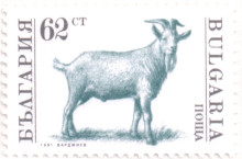 62 стотинки