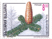8 лева