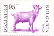 95 стотинки