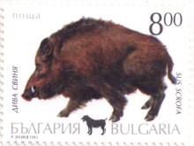 8 лева