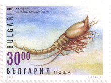 30 лева