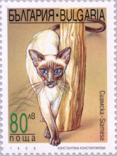 80 лева