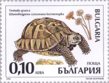 10 стотинки
