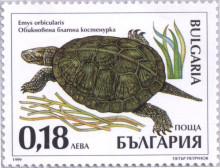18 стотинки