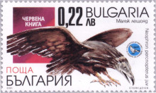 22 стотинки