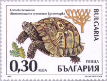 30 стотинки
