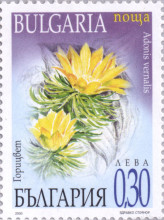 30 стотинки