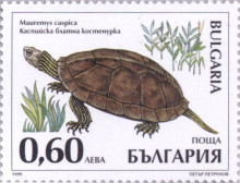60 стотинки