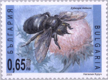 65 стотинки