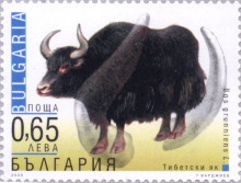 65 стотинки