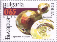 65 кратуниа