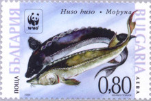 80 стотинки