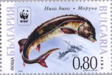 80 стотинки
