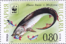 80 стотинки