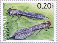 20 стотинки