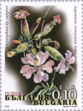 10 стотинки