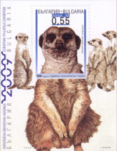 55 стотинки